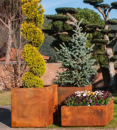 Arreglo de plantas en El Coto, Guadalajara